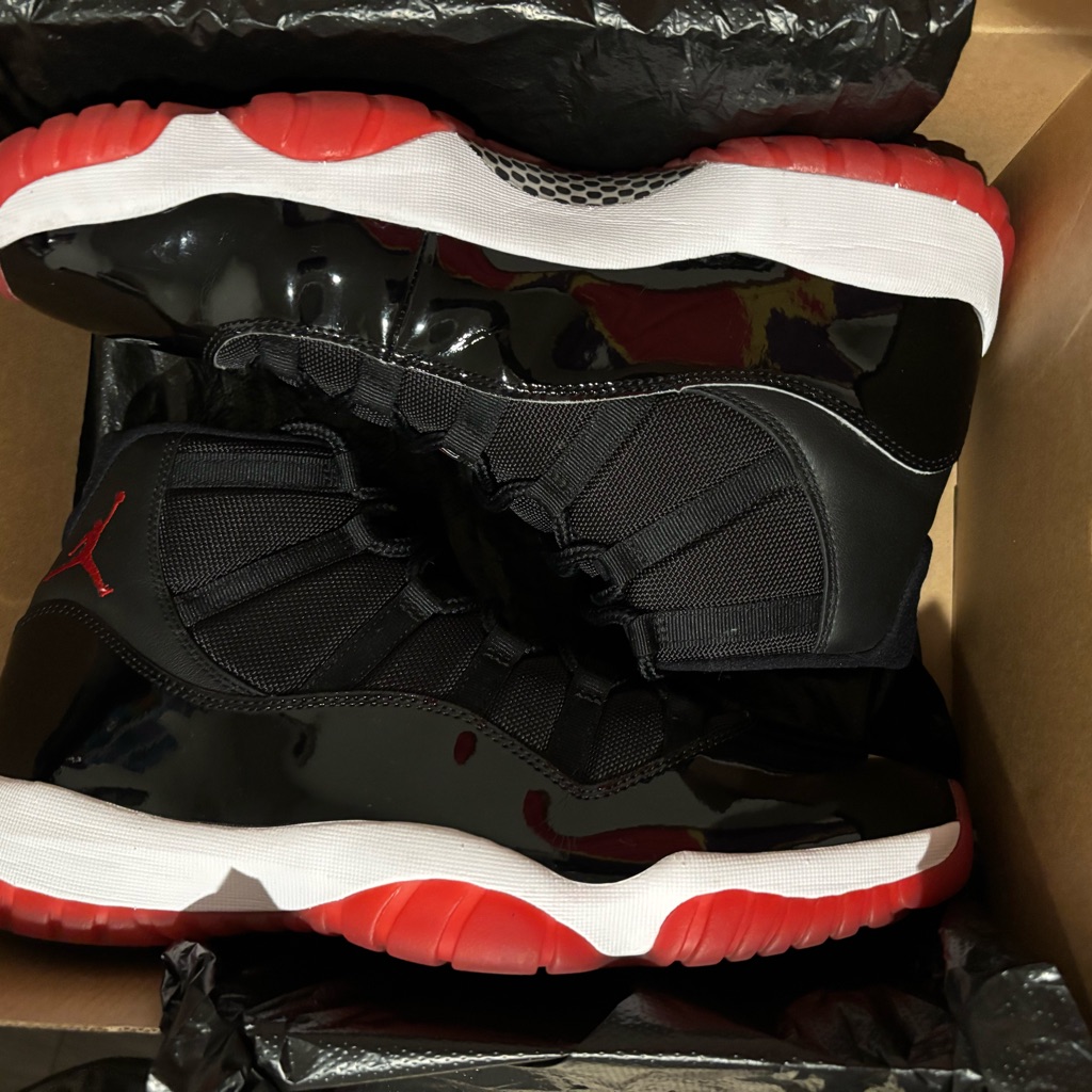Jordan 11 Breds (2019)